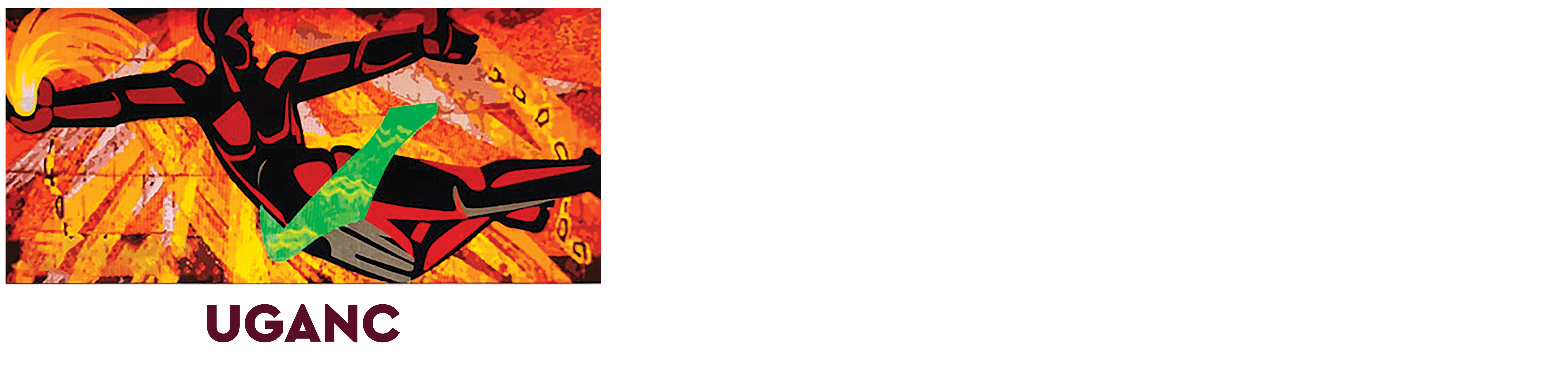 Université Gamal Abdel Nasser de Conakry
